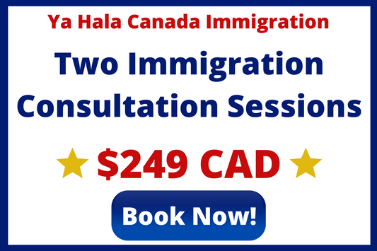 Two Immigration Consultation Sessions