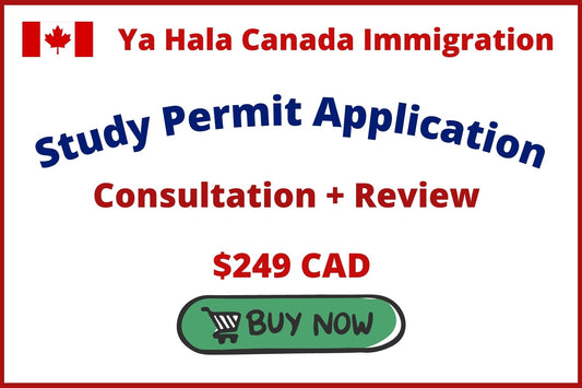 Canada Study Permit Application Consultation + Review