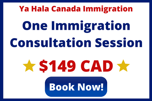 One Immigration Consultation Session
