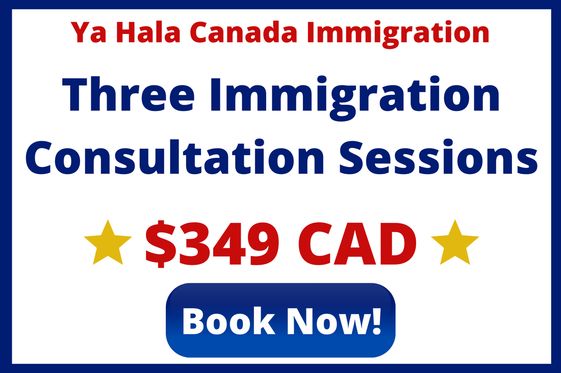 Three Immigration Consultation Sessions